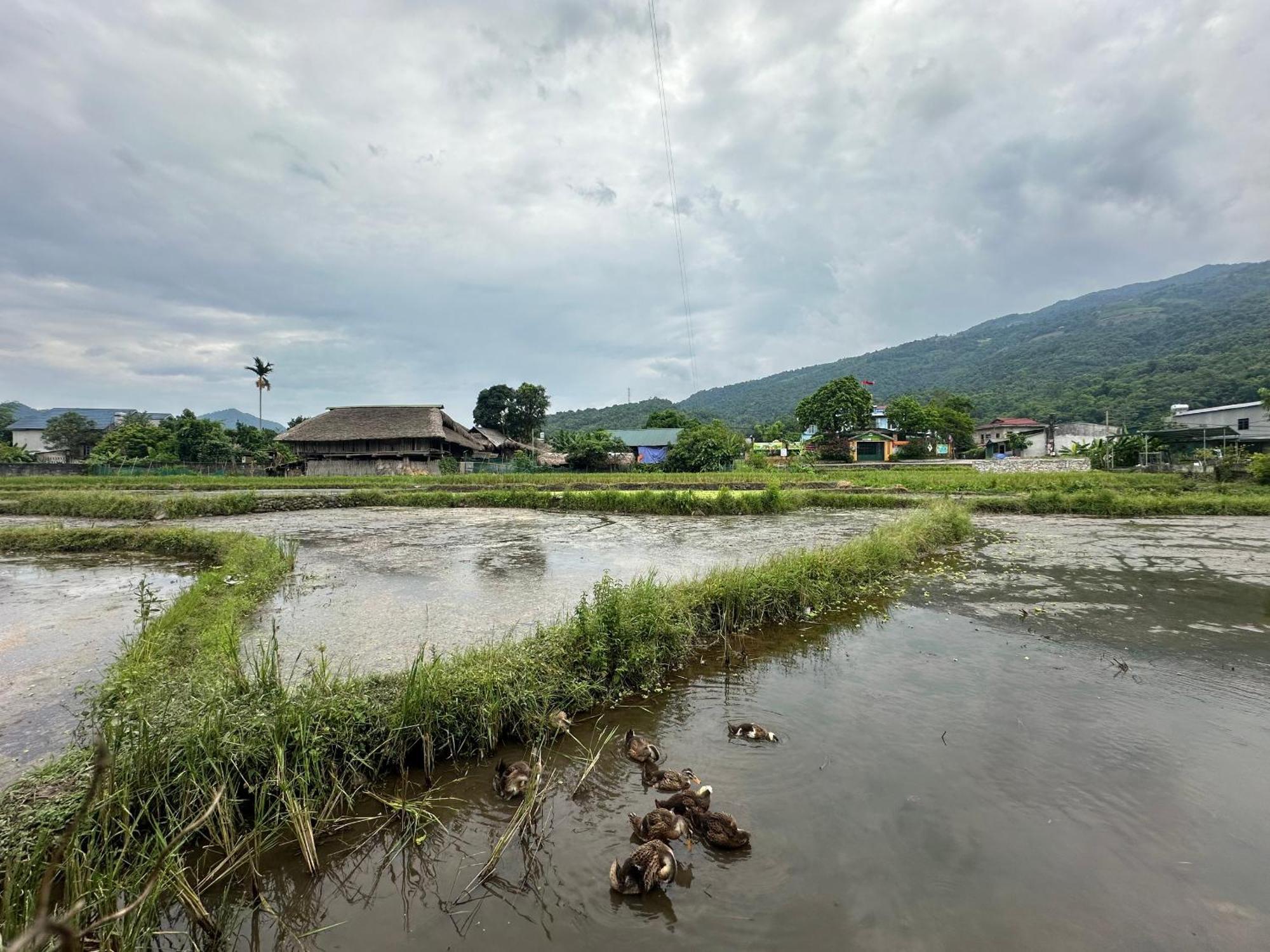 Ha Giang Eco Bungalow Dış mekan fotoğraf